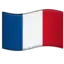 Drapeau de la France – passer le site en français